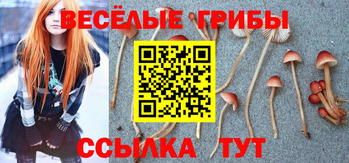 Вышний Волочёк  Псилоцибиновые грибы Psilocybe  Галлюциногенные грибы GOLDEN TEACHER  Вход с VPN 
